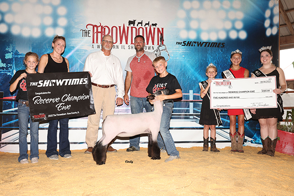 Reserve Champion Ewe The Throwdown