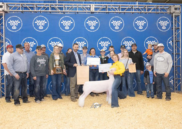 Supreme Champion Breeding Ewe OYE