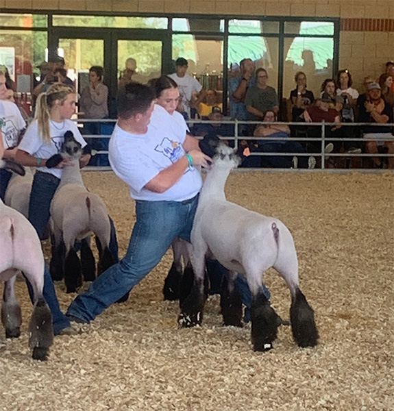 Class Winner MO State Fair