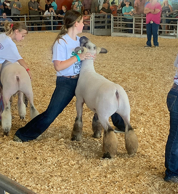 Reserve Spec Missouri State Fair