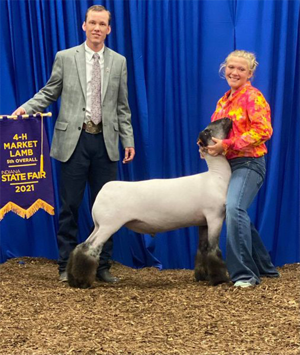 Reserve Champion Hamp & 5th Overall  Indiana State Fair