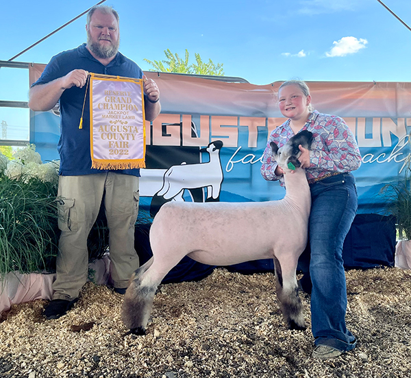 Reserve Grand Champion Jackpot Market Lamb Augusta County Fair