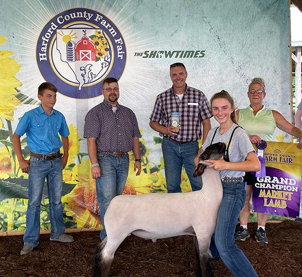 Grand Champion Market Lamb Hartford County Fair Maryland