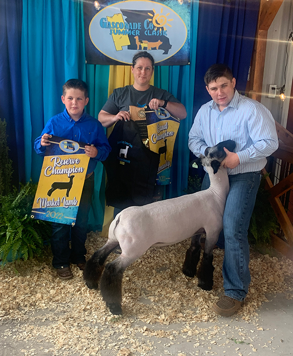 Reserve Champion Market Lamb Gasconade County Summer Classic