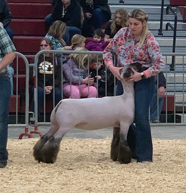 Class Winner Wyoming State Fair