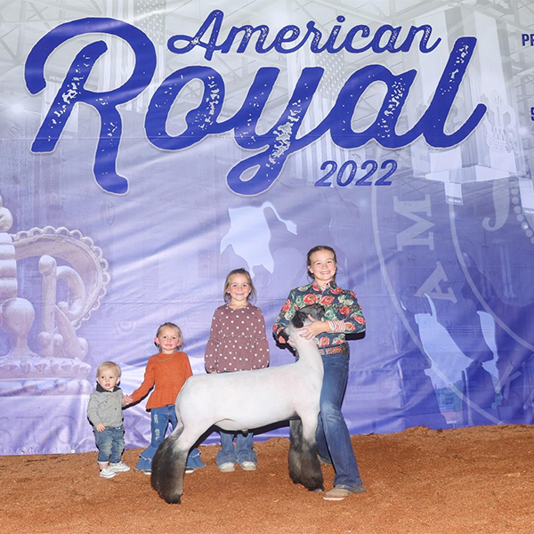 Division 2 Champion Market Lamb American Royal