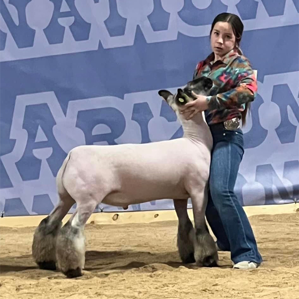 2nd in Class Arizona National Market Lamb