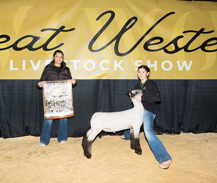 4th Overall Blackface Cross, Great Western Livestock Show (CA) 4th Overall Blackface Cross, Great Western Livestock Show (CA)
