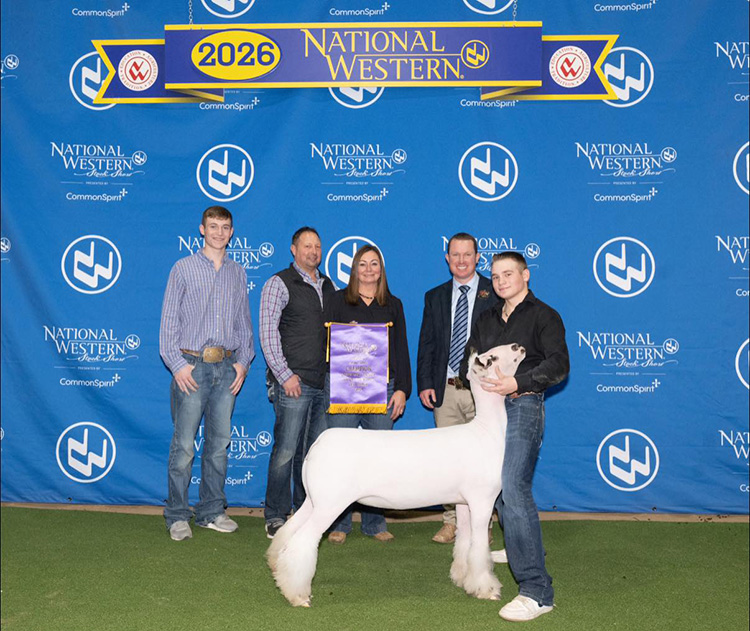 Champion Registered AOB Ewe, National Western Stock Show (CO) Champion Registered AOB Ewe, National Western Stock Show (CO)