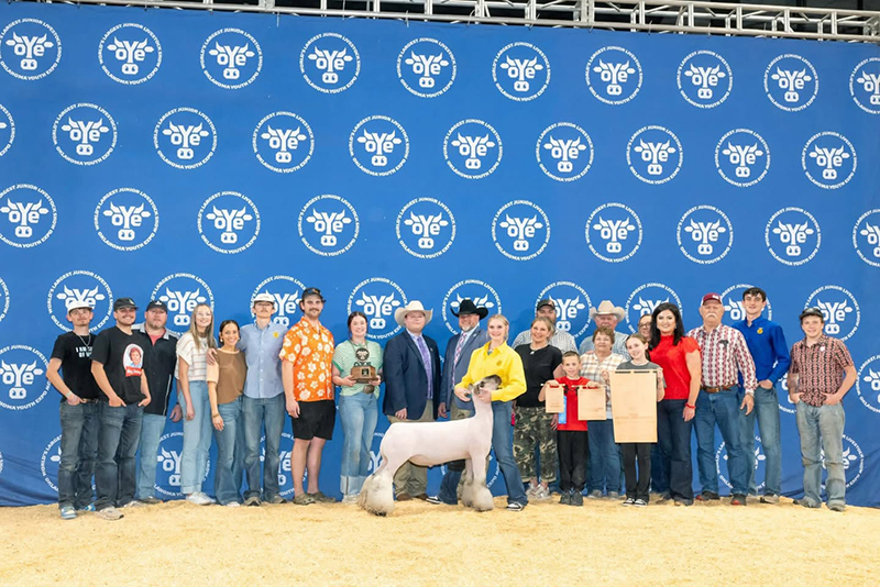 Bronze Medallion Market Lamb, Reserve Champion Division 1 Crossbred, Oklahoma Youth Expo