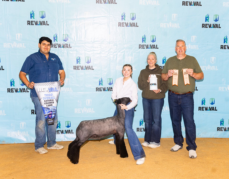 3rd Overall Natural - Show B, The Revival Livestock Show 3rd Overall Natural - Show B, The Revival Livestock Show
