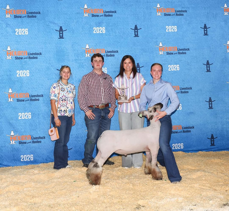 Mediumwool Class 1 Winner, Houston Livestock Show & Rodeo Mediumwool Class 1 Winner, Houston Livestock Show & Rodeo