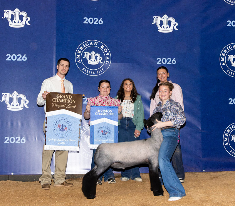 Grand Champion Prospect Lamb, 2026 Spring American Royal Livestock Show Grand Champion Prospect Lamb, 2026 Spring American Royal Livestock Show