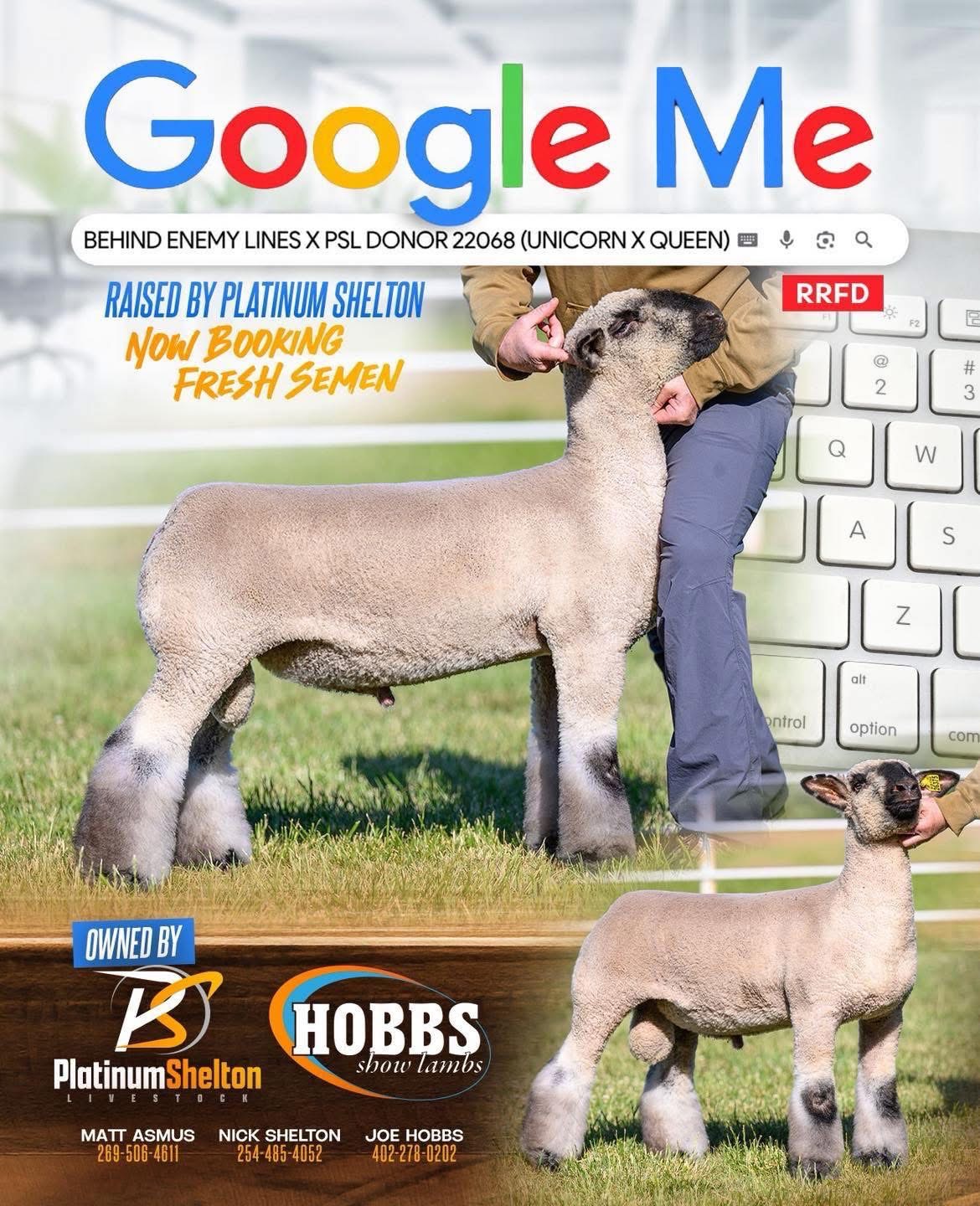 Google Me No Regrets