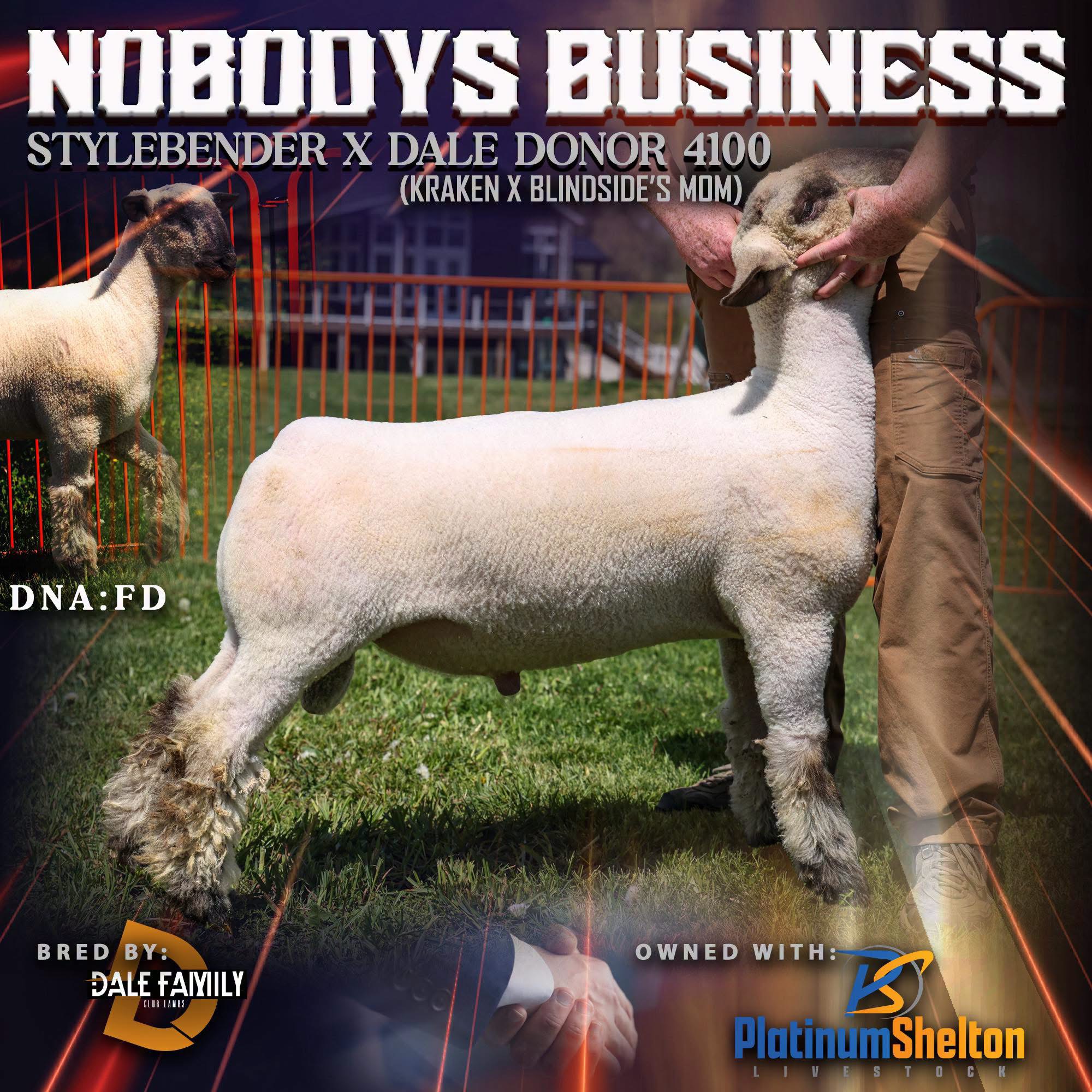 Nobody's Business Nobody's Business