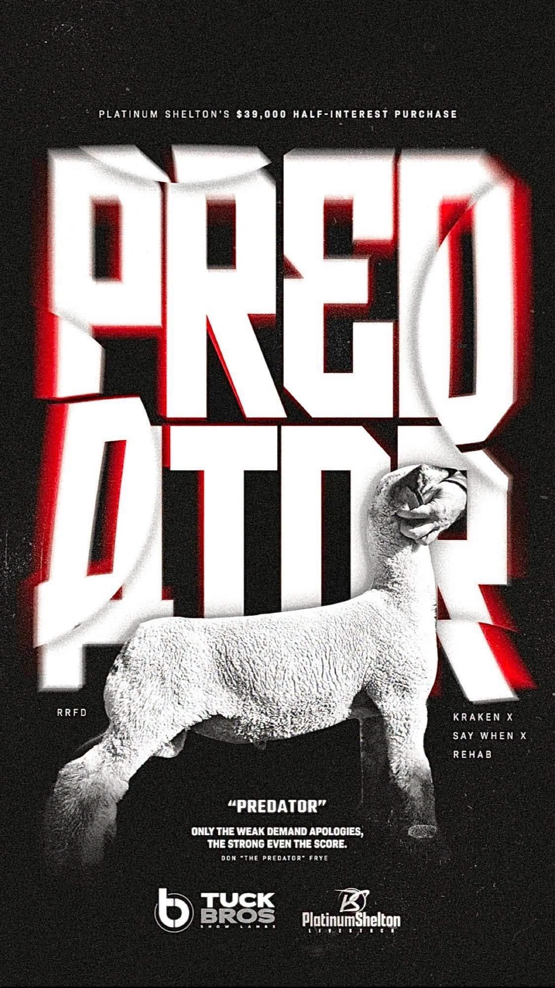 Predator Predator