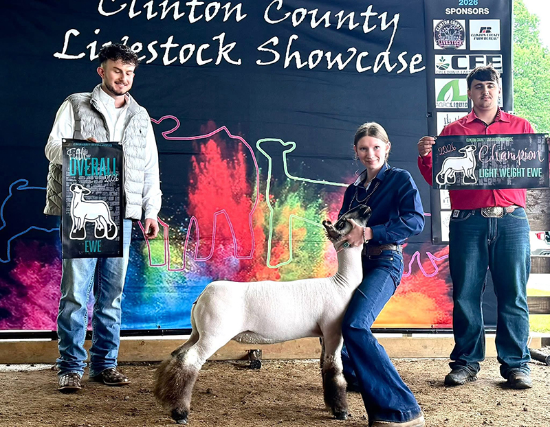 5th Overall Commercial Ewe, Clinton County Jackpot 5th Overall Commercial Ewe, Clinton County Jackpot