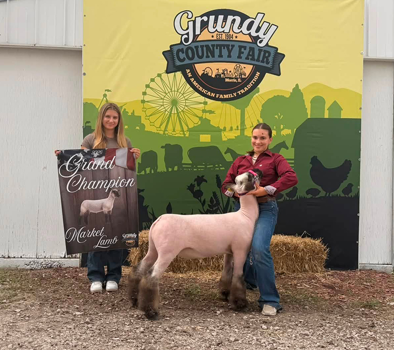 Grand Champion Market Lamb, Grundy County Fair Grand Champion Market Lamb, Grundy County Fair<br />