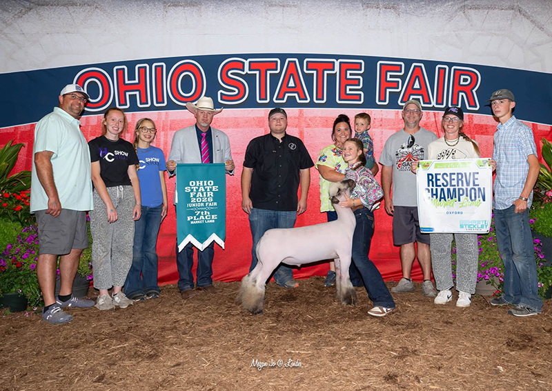 Champion Oxford, Ohio State Fair Open Show Champion Oxford, Ohio State Fair Open Show