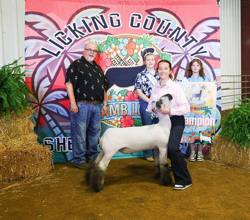 Grand Champion Market Lamb, Licking County Luau, OH Grand Champion Market Lamb, Licking County Luau, OH