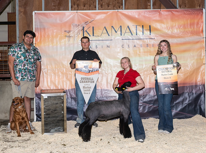 Grand Champion Market Lamb, Klamath Basin Classic Grand Champion Market Lamb, Klamath Basin Classic