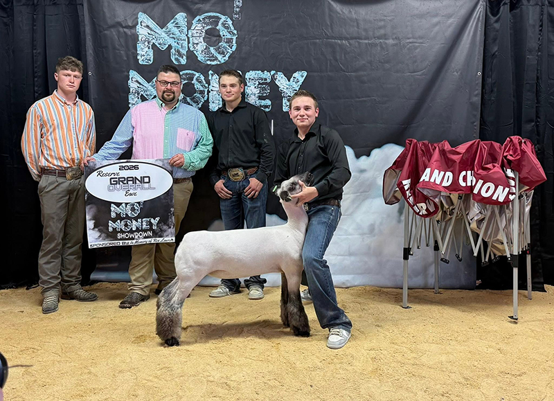 Reserve Grand Ewe, Champion Crossbred, Mo Money - Show A Reserve Grand Ewe, Champion Crossbred, Mo Money - Show A