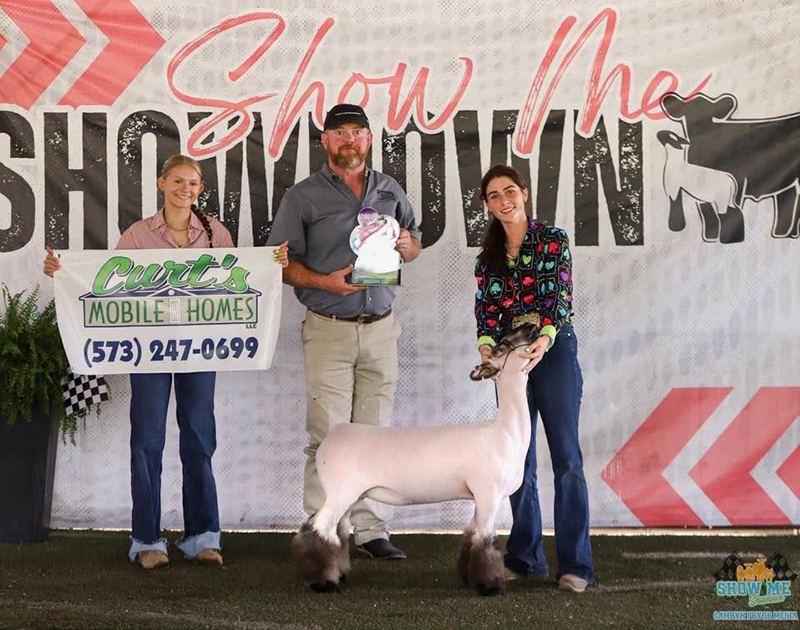 Grand Champion Ewe, Show Me Showdown Grand Champion Ewe, Show Me Showdown