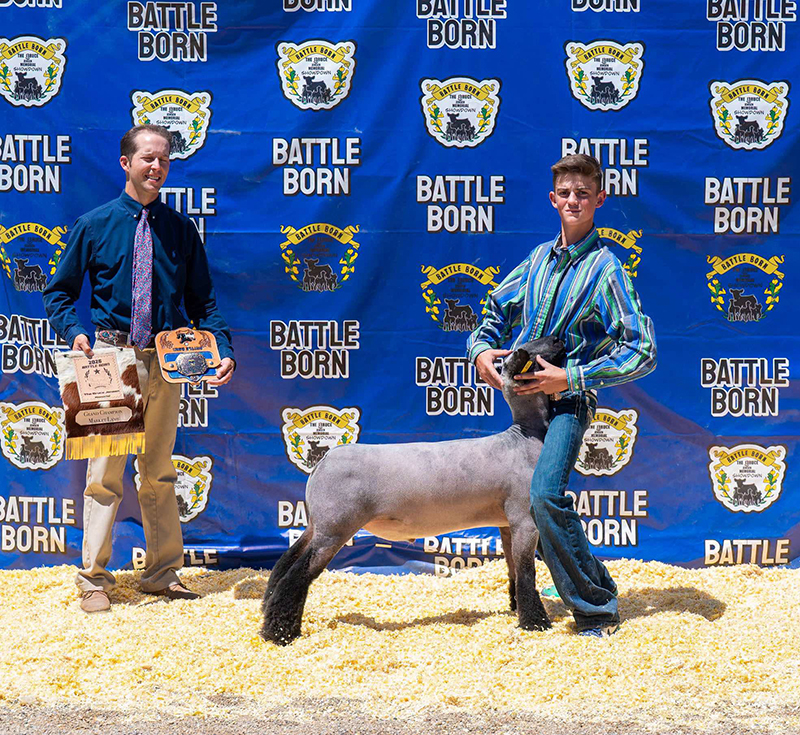 Grand Champion Market Lamb, Battle Born - Show A & B Grand Champion Market Lamb, Battle Born - Show A & B