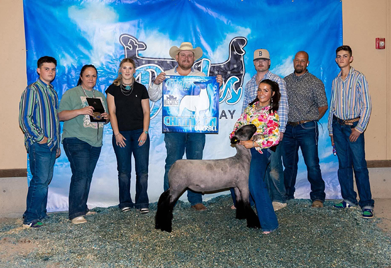 3rd Overall Marker Lamb, Utah State Junior Livestock Show 3rd Overall Marker Lamb, Utah State Junior Livestock Show