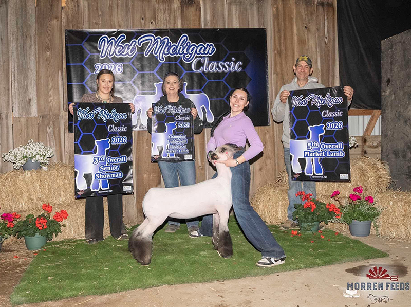 5th Overall Commercial Ewe, Champion Lightweight Commercial Ewe, West Michigan Classic 5th Overall Commercial Ewe, Champion Lightweight Commercial Ewe, West Michigan Classic