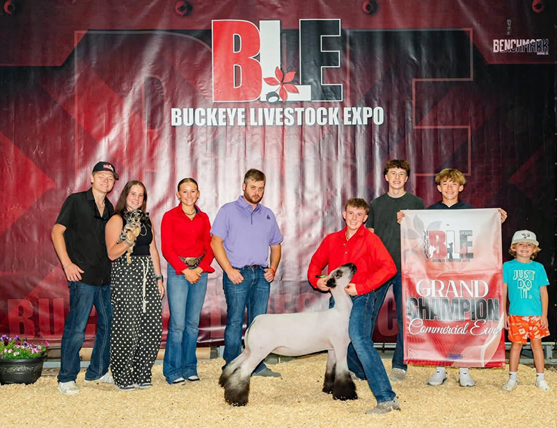 Grand Champion Commercial Ewe, Buckeye Livestock Expo Grand Champion Commercial Ewe, Buckeye Livestock Expo