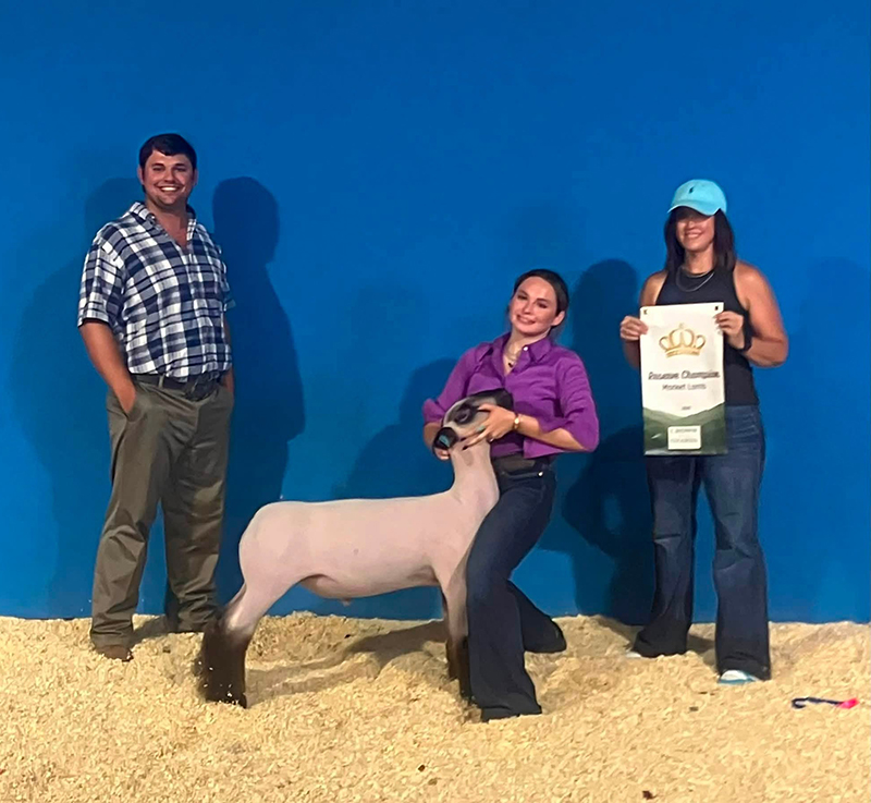 Reserve Champion Market Lamb Reserve Champion Market Lamb