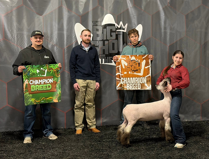 Champion Shrop - Ring 1 & 2, The Big Show in NWO Champion Shrop - Ring 1 & 2, The Big Show in NWO