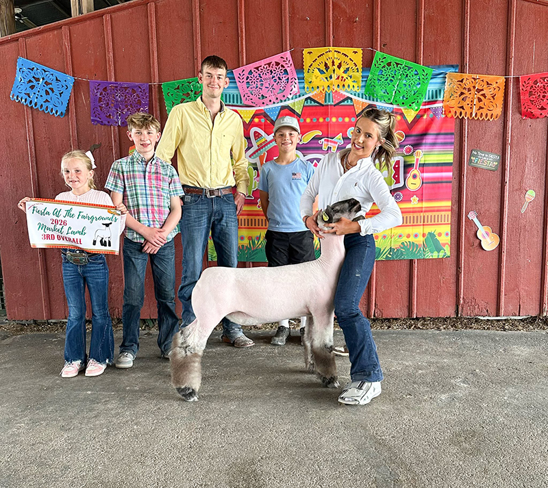 Third Overall Market Lamb, Fiesta at the Fairgrounds (IN) Third Overall Market Lamb, Fiesta at the Fairgrounds (IN)