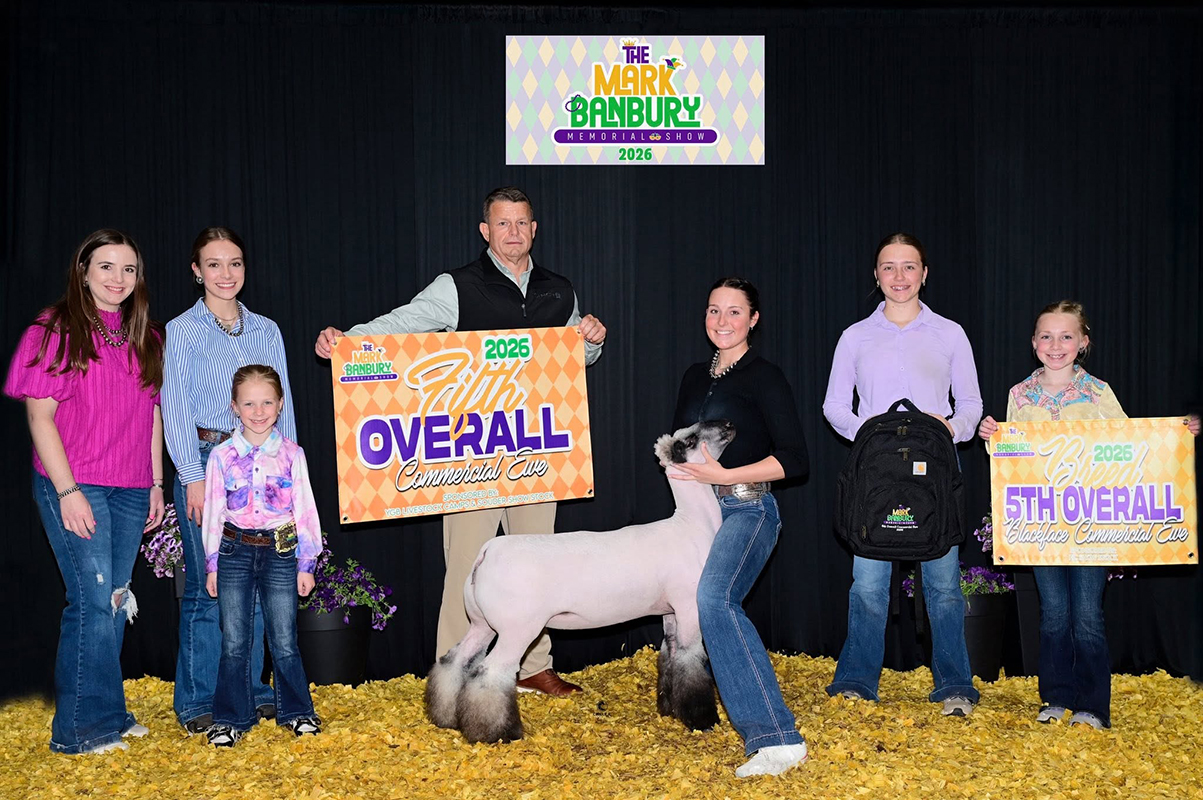 5th Overall Ewe Mark Banbury, Memorial Show B 5th Overall Ewe Mark Banbury, Memorial Show B
