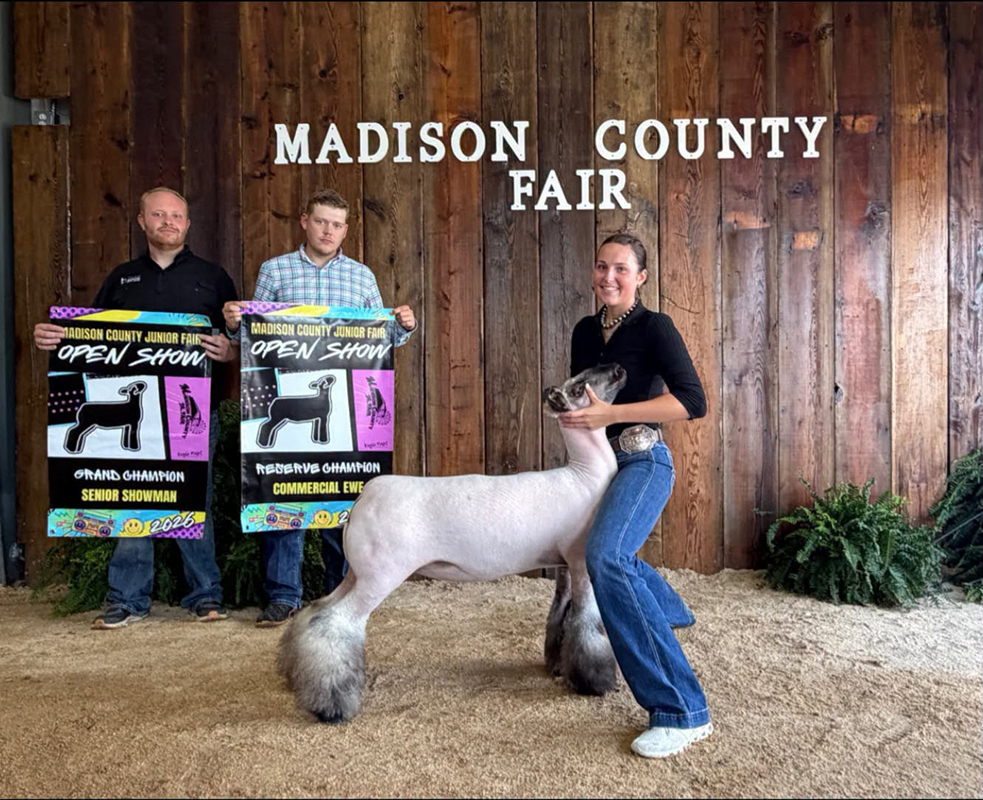 Reserve Grand Champion Commercial Ewe, Madison County Fair Reserve Grand Champion Commercial Ewe, Madison County Fair