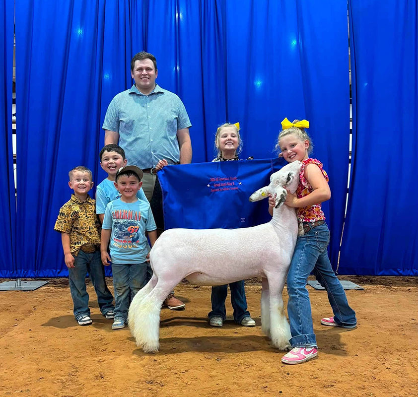 Grand Champion Market Lamb Ring A and B, Champion Cross Ring A and B, All American Classic Jackpot Grand Champion Market Lamb Ring A and B, Champion Cross Ring A and B, All American Classic Jackpot