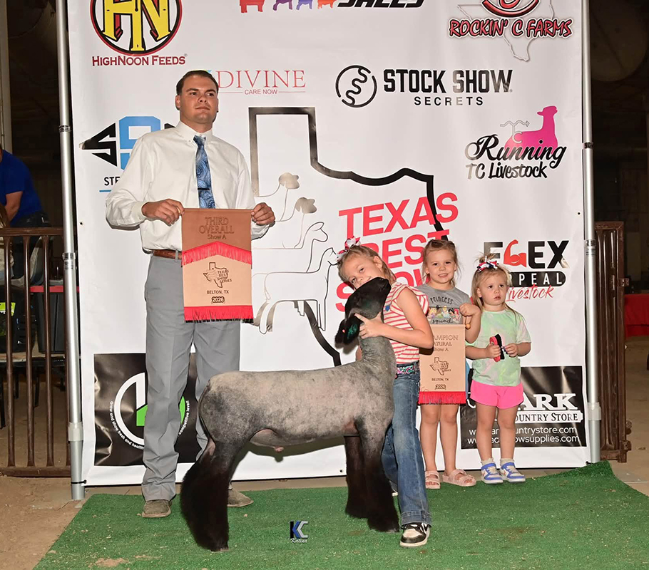 3rd Overall Market Lamb, Champion Natty TBSS Show A 3rd Overall Market Lamb, Champion Natty<br />
TBSS Show A