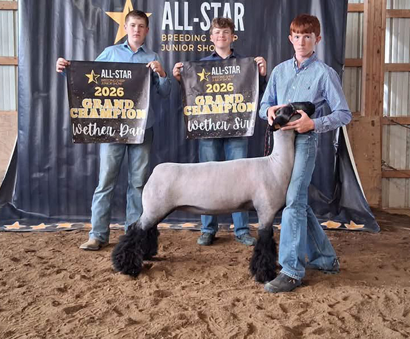 Grand Champion Wether Dam, All-Star Breeding Sheep Junior Show Grand Champion Wether Dam, All-Star Breeding Sheep Junior Show