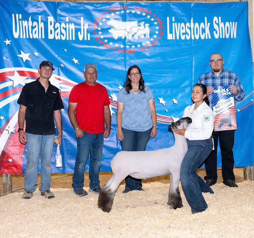 3rd Overall Market Lamb, Uintah Basin Junior Livestock Show 3rd Overall Market Lamb, Uintah Basin Junior Livestock Show