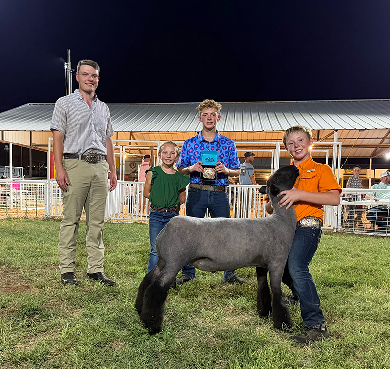 Reserve Grand Champion Market Lamb, Cement Free Fair Reserve Grand Champion Market Lamb, Cement Free Fair