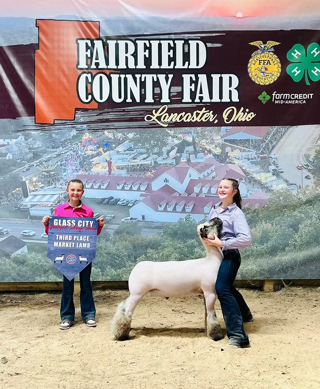 3rd Overall Market Lamb, Fairfield County Fair 3rd Overall Market Lamb, Fairfield County Fair