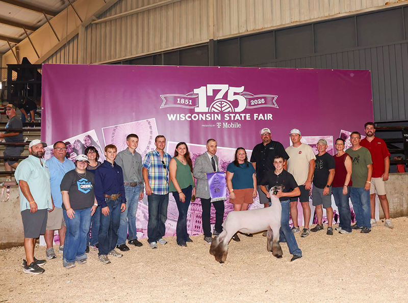 Grand Champion Market Lamb, Champion Crossbred Wisconsin State Fair Grand Champion Market Lamb, Champion Crossbred<br />
Wisconsin State Fair