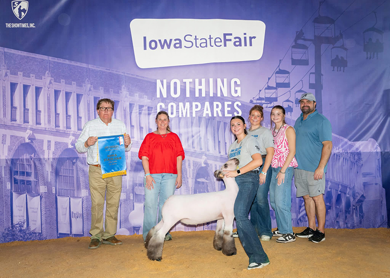 4th Overall Market Lamb, Iowa State Fair FFA Show 4th Overall Market Lamb, Iowa State Fair FFA Show