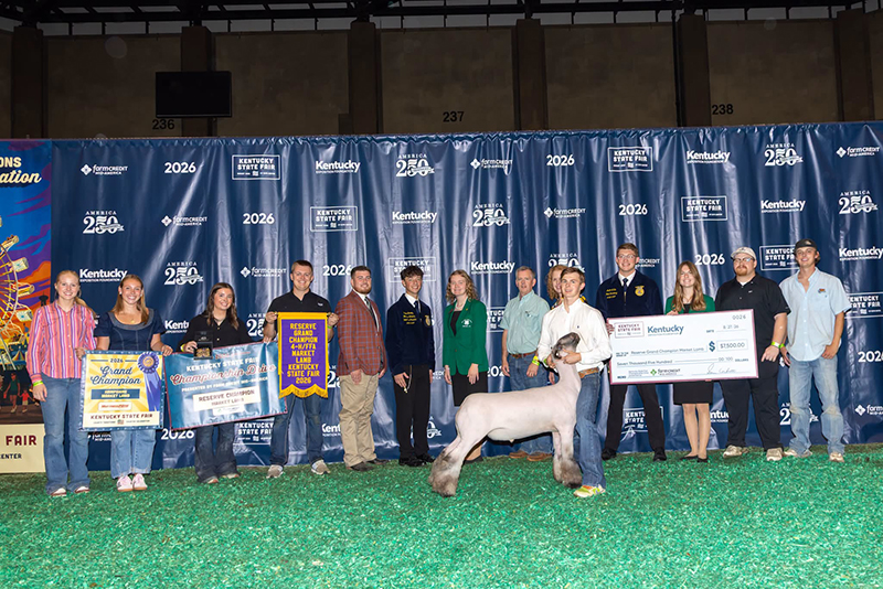 Reserve Grand Champion Market Lamb, Kentucky State Fair Reserve Grand Champion Market Lamb, Kentucky State Fair