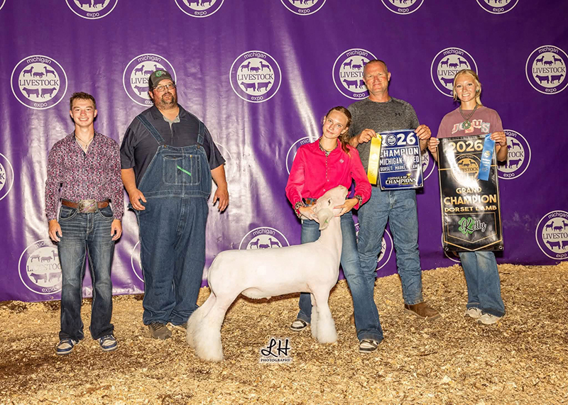 Champion Dorset, Michigan Livestock Expo Champion Dorset, Michigan Livestock Expo