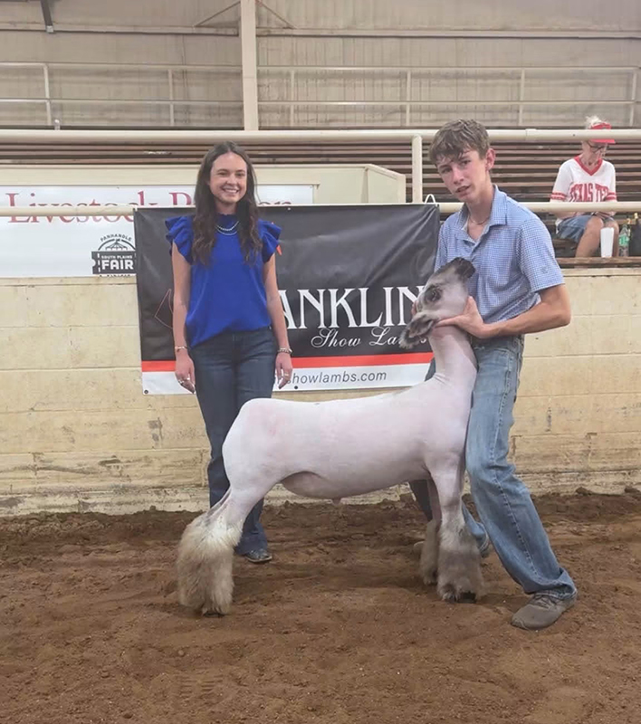Reserve Medium Wool Ring A&B, Reserve Supreme Champion Ring A, Franklin International Reserve Medium Wool Ring A&B, Reserve Supreme Champion Ring A, Franklin International