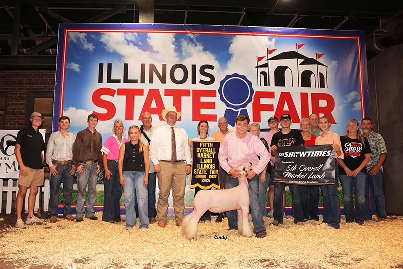 5th Overall Market Lamb, Grand Champion Speckle, Illinois State Fair 5th Overall Market Lamb, Grand Champion Speckle, Illinois State Fair