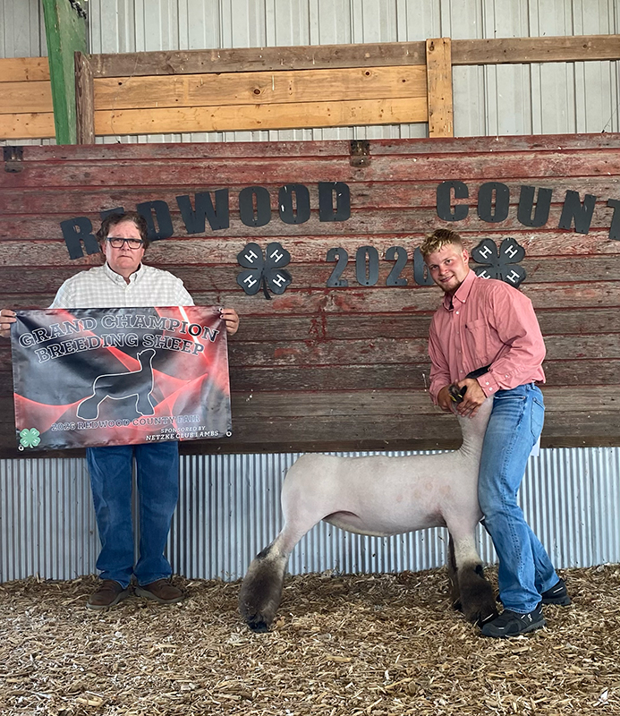 Champion Ewe, Redwood County Fair Champion Ewe, Redwood County Fair