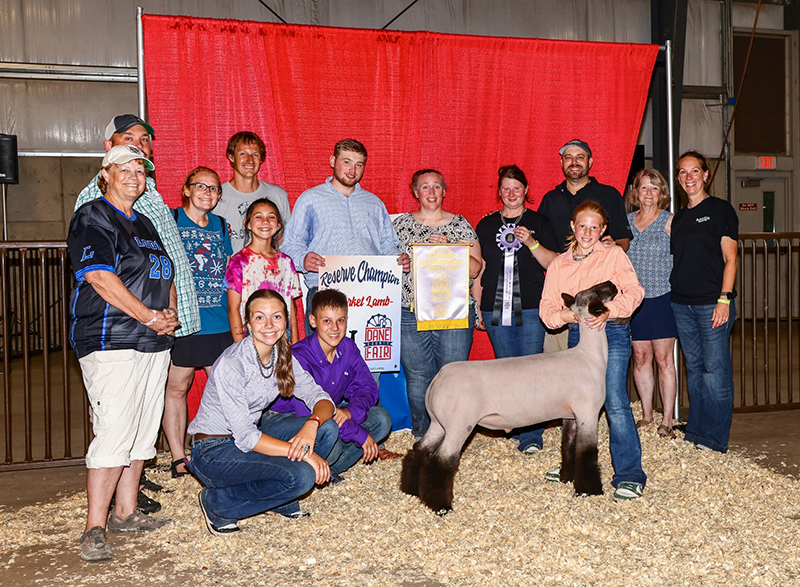 Reserve Grand Champion Market Lamb, Dane County Fair Reserve Grand Champion Market Lamb, Dane County Fair